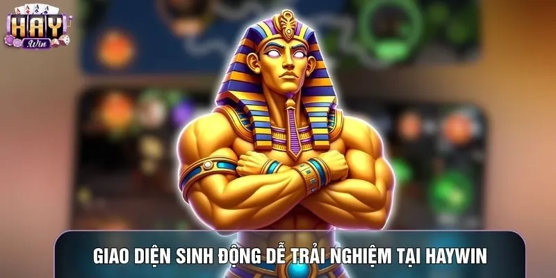 Giao diện sinh động dễ trải nghiệm tại Haywin