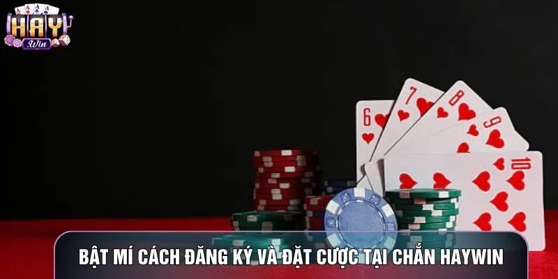 Bật mí cách đăng ký và đặt cược tại Chắn haywin