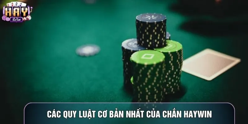 Các quy luật cơ bản nhất của Chắn haywin