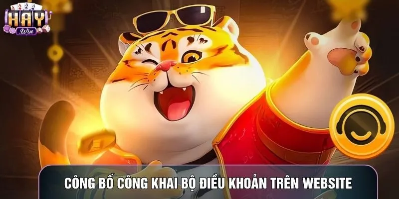 Công bố công khai bộ điều khoản trên website