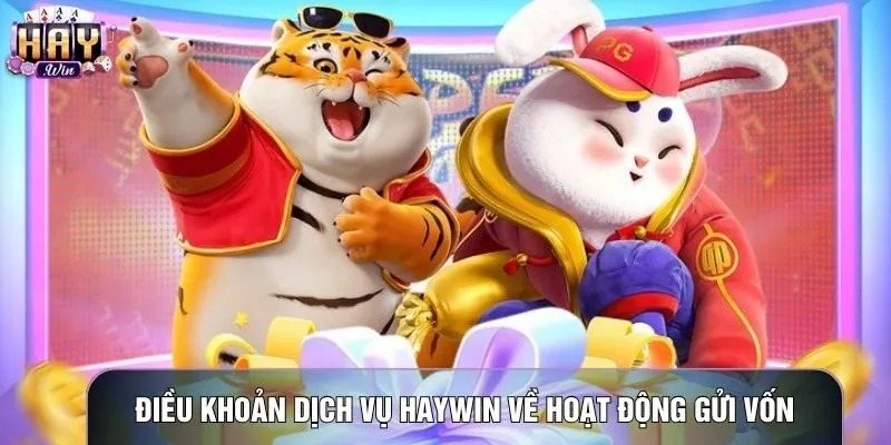 Điều khoản dịch vụ Haywin về hoạt động gửi vốn