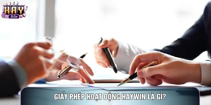 Giấy phép hoạt động Haywin là gì?