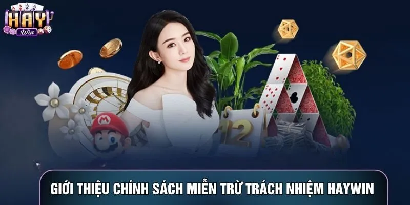 Giới thiệu chính sách miễn trừ trách nhiệm Haywin