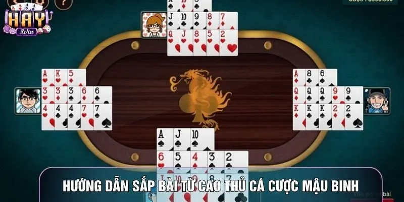 Hướng dẫn sắp bài từ cao thủ cá cược mậu binh