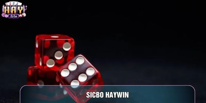 Sicbo Haywin – Top 5 Bí Quyết Lắc Xí Ngầu Hốt Bạc Tại Haywin