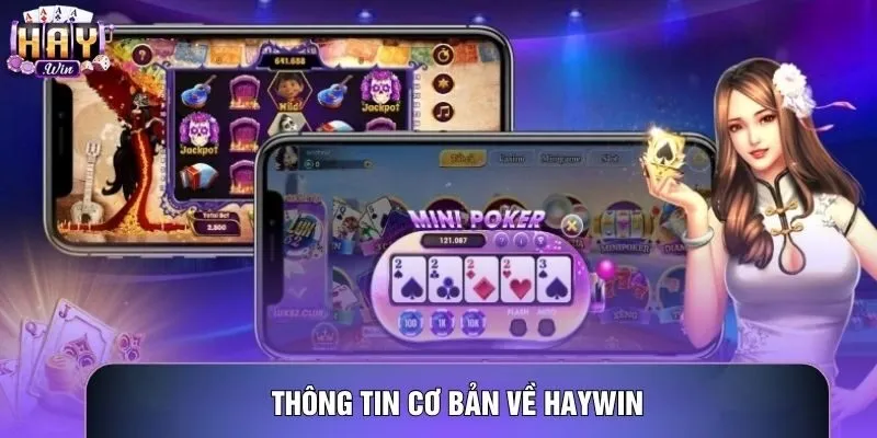 Thông tin cơ bản về Haywin