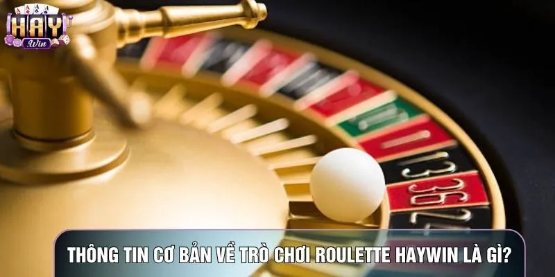 Thông tin cơ bản về trò chơi Roulette haywin là gì?
