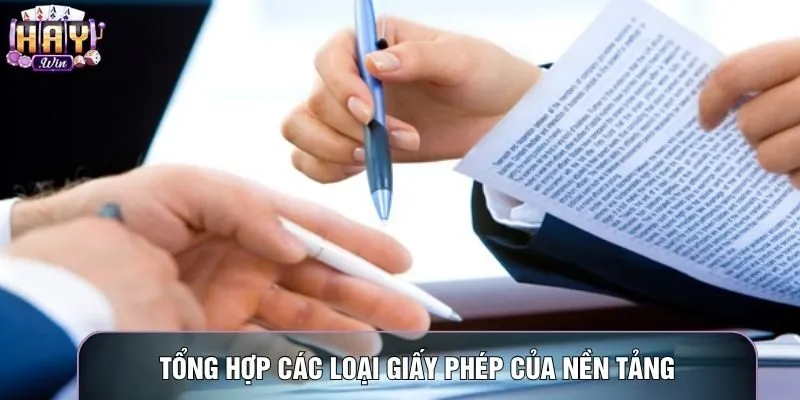 Tổng hợp các loại giấy phép của nền tảng