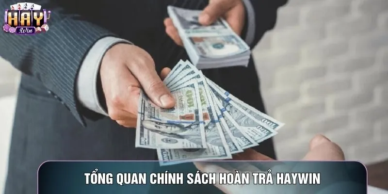 Tổng quan chính sách hoàn trả Haywin